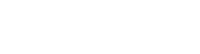 rapiddweller white logo